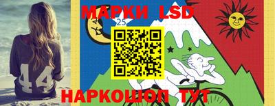 гашик Берёзовский