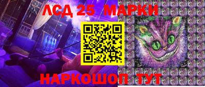 гашик Берёзовский