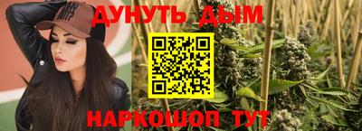 гашик Берёзовский