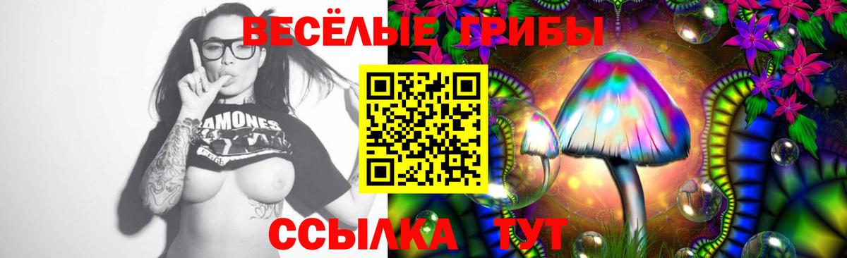 Галлюциногенные грибы мицелий Заволжье