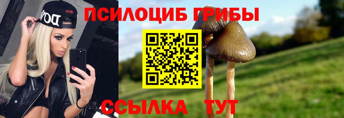 Заволжье  Псилоцибиновые грибы MAGIC MUSHROOMS  Вход с VPN  Галлюциногенные грибы ЛСД 
